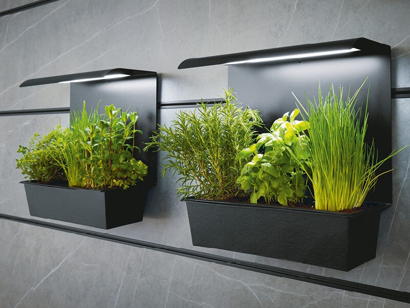 Wandpaneele an Küchenrückwand von next125 mit Küchenkräutern behangen